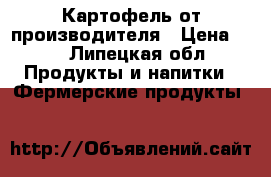 Картофель от производителя › Цена ­ 1 - Липецкая обл. Продукты и напитки » Фермерские продукты   